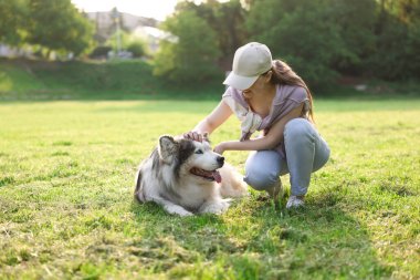 Gülümseyen kadın sabahın köründe yeşil çimlerde sevimli Alaska köpeğini okşuyor.