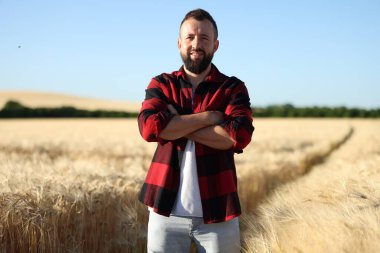 Olgun buğdaylı tarlada çiftçi