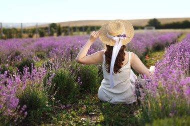 Hasır şapkalı kadın güzel lavanta tarlasında oturuyor.