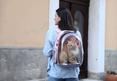 Sırt çantasındaki kedisiyle şehir caddesinde, arka manzaralı bir kadın.