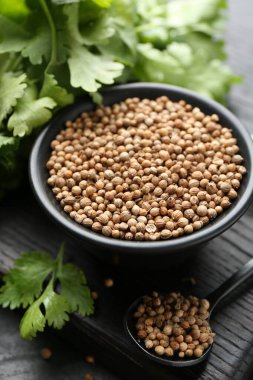 Kase içinde kişniş tohumları, kaşık ve taze kişniş yaprakları karanlık masada, yakın plan.