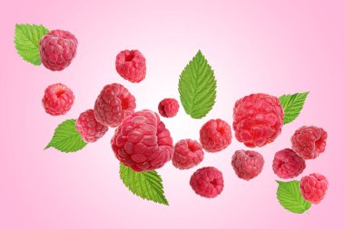 Pembe arka planda uçuşan taze ahududu ve yeşil yapraklar.