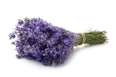 Beyaz bir demet güzel lavanta çiçeği