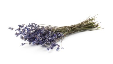 Beyaz bir demet kokulu lavanta çiçeği