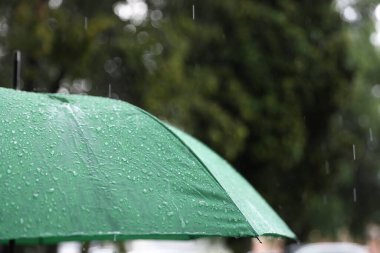 Sağanak yağmur altında yeşil şemsiye, yakın çekim.