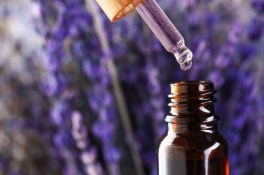 Lavanta yağı şişeye damlıyor. Arka planda bulanıklık var. Yakın plan. Metin için boşluk