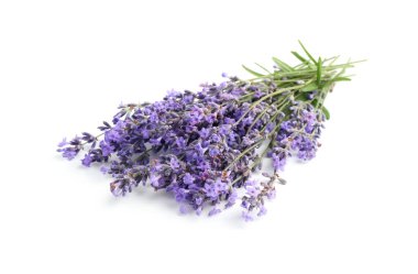 Güzel lavanta beyazı izole edilmiş. Güzel kokulu çiçekler.