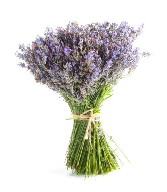 Beyaz bir demet güzel lavanta çiçeği