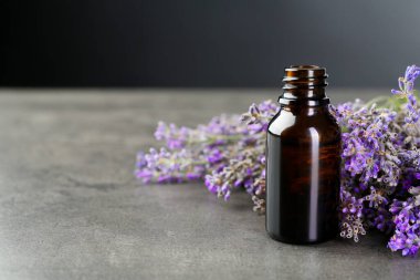 Aromatik yağ şişede ve lavanta çiçekleri gri desenli masa üzerinde koyu arkaplanda, yakın plan. Metin için boşluk