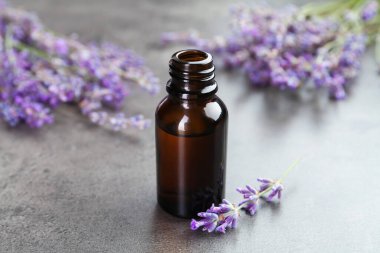 Aromatik esans yağı açık şişede ve lavanta çiçekleri gri desenli masada, yakın plan.