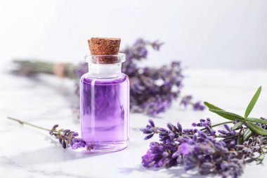 Beyaz mermer masa üzerinde açık gri arkaplan üzerinde lavanta çiçekleri ve şişe içinde Aromatik gerekli yağ yakın plan