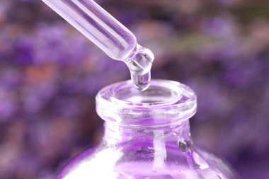 Pipetten şişeye lavanta yağı damlıyor. Arka planda bulanıklık var. Yakın plan.