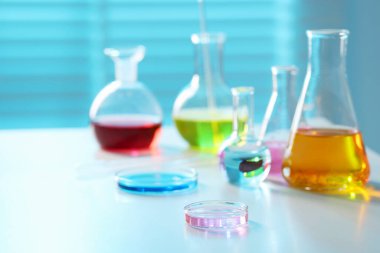 Işık masasında farklı numunelerle laboratuvar camları, yakın plan.