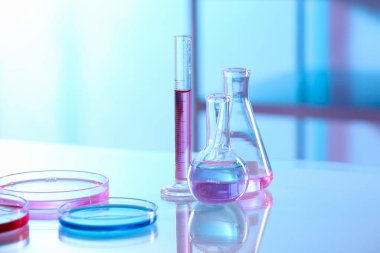 Işık masasında farklı numunelerle laboratuvar camları, yakın plan.