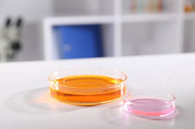 Laboratuardaki beyaz masada farklı numuneler bulunan petri kapları, yakın plan. Çözüm kimyası