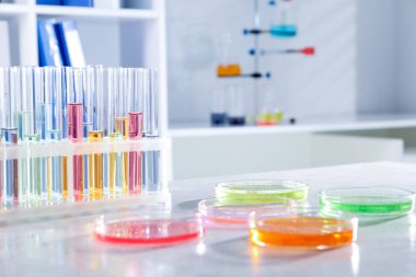 Laboratuvardaki ışık masasında farklı numuneler ve test tüpleri olan petri kapları, yakın plan. Çözüm kimyası