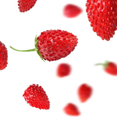 Taze olgun yabani çilekler beyaz arka planda