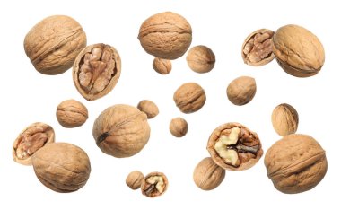 Beyaz arka planda kabuklu cevizler uçuşuyor.