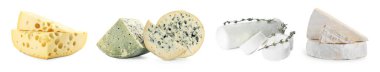 Beyazda ve sette izole edilmiş peynir çeşitleri