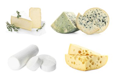 Beyazda ve sette izole edilmiş peynir çeşitleri