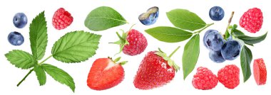 Beyaz üzerine izole edilmiş çeşitli böğürtlen ve yeşil yapraklar.