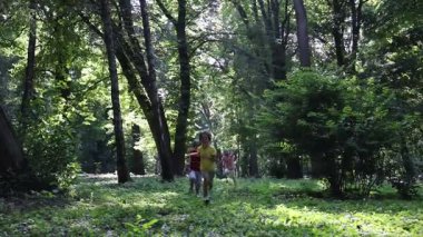 Küçük şirin çocuklar parkta birlikte eğleniyorlar.