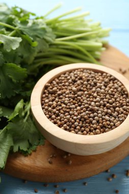 Kişniş tohumları ve taze kişniş açık mavi ahşap masa, yakın plan.