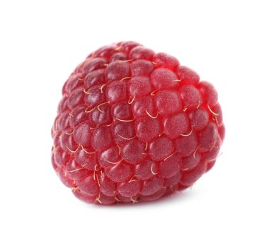 Beyaza izole edilmiş taze bir ahududu.