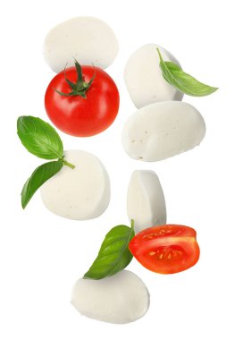 Mozzarella, domates ve fesleğen yaprakları beyaz arka plana düşüyor