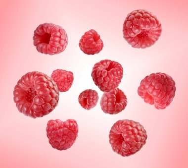 Pembe eğimli arka planda havada dönen taze ahududu.