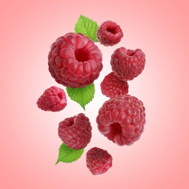 Pembe arka plana düşen taze ahududu ve yeşil yapraklar.