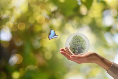 İçinde ağaç olan kristal küreyi, bulanık yeşil arka planda tutan kadın, yakın plan. Kelebek yakınlarda uçuyor