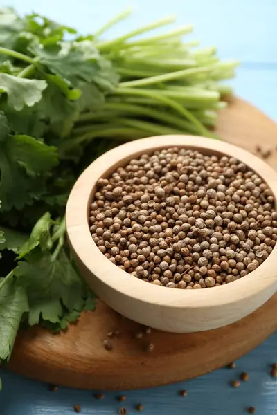 Kişniş tohumları ve taze kişniş açık mavi ahşap masa, yakın plan.