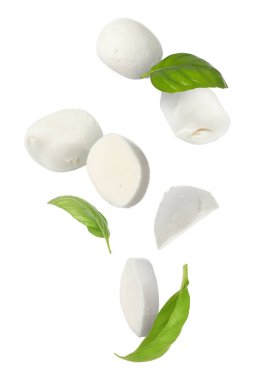 Mozzarella peyniri ve fesleğen yaprakları beyaz arkaplana düşüyor