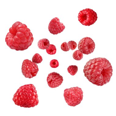 Beyaz arka planda havada dönen taze ahududular.