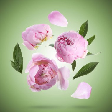 Gökyüzündeki güzel pembe şakayık çiçekleri ve taç yaprakları yeşil eğimli arka planda