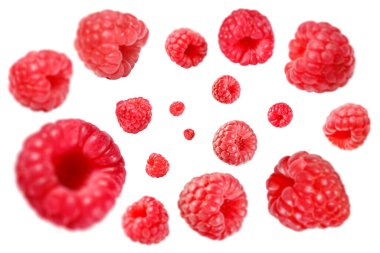 Beyaz arka planda havada dönen taze ahududular.