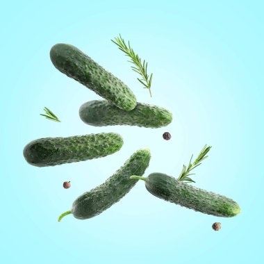 Taze salatalık ve biberiye açık mavi arkaplan üzerine düşüyor