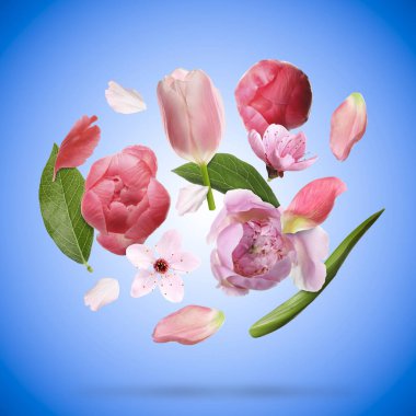 Güzel bahar çiçekleri ve yaprakları mavi arka planda