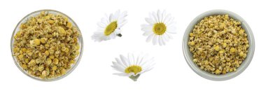 Kurumuş ve taze papatya çiçekleri beyaz sette izole edilmiş.