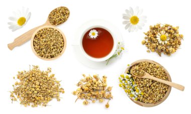 Kurumuş ve taze papatya çiçekleri ve beyaz sette izole edilmiş bitki çayı. Üst görünüm