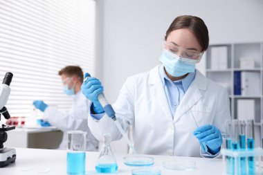 Tıbbi analiz. Laboratuvarda numuneyle çalışan bilim adamı, seçici odaklanma