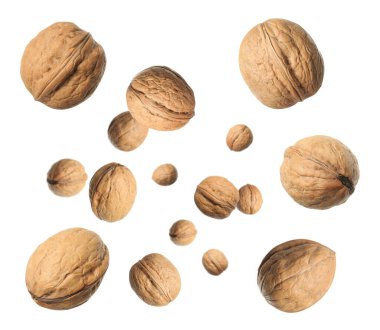 Beyaz arka planda kabuklu cevizler uçuşuyor.