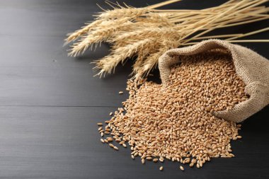 Çuval bezinde buğday taneleri ve siyah ahşap masada çiviler, yakın plan. Metin için boşluk