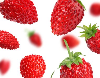 Taze olgun yabani çilekler beyaz arka planda