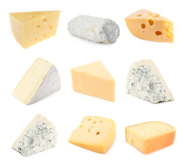 Beyazda ve sette izole edilmiş peynir çeşitleri