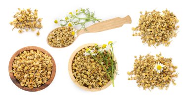 Kurumuş papatya çiçekleri beyaza sabitlenmiş. Üst görünüm