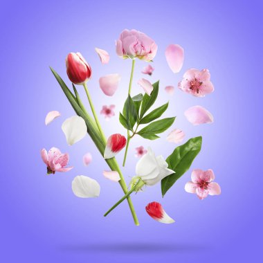 Gökyüzündeki güzel bahar çiçekleri ve taç yaprakları mavi menekşe arka planına karşı