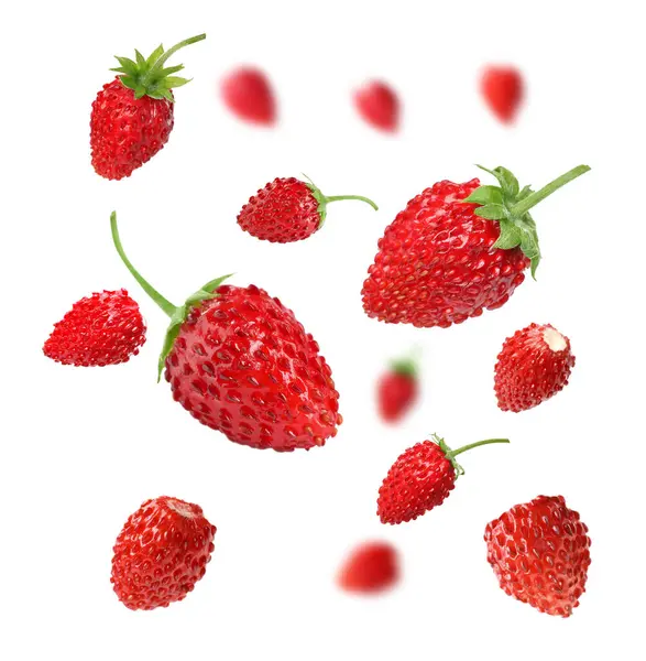 Taze olgun yabani çilekler beyaz arka planda