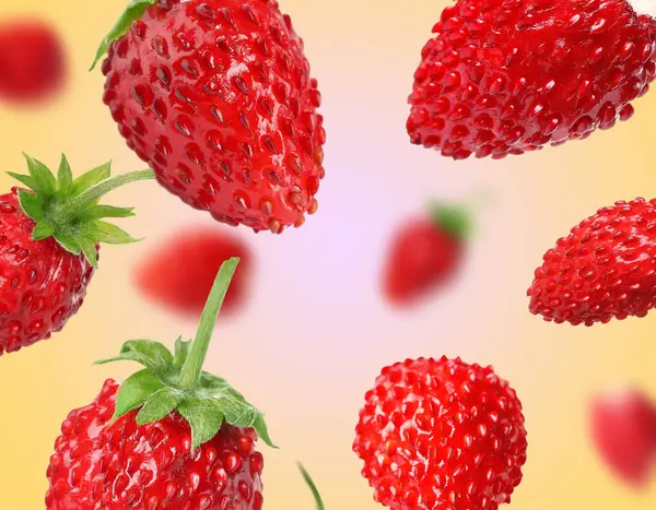 Taze olgun yabani çilekler, renk değişimine karşı.